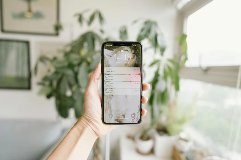 a person holding a cell phone in their hand, pexels contest winner, at home, semi-transparent, hidden message, iphone wallpaper