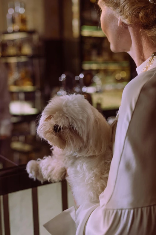 there is a dog on the table and a woman looking at it