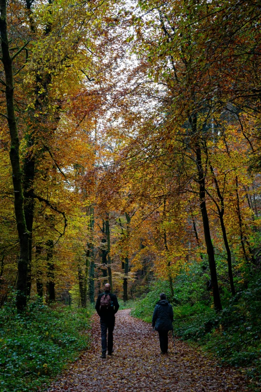 two people walking down a path in the woods, by Sebastian Spreng, autumn colour oak trees, 8 k -