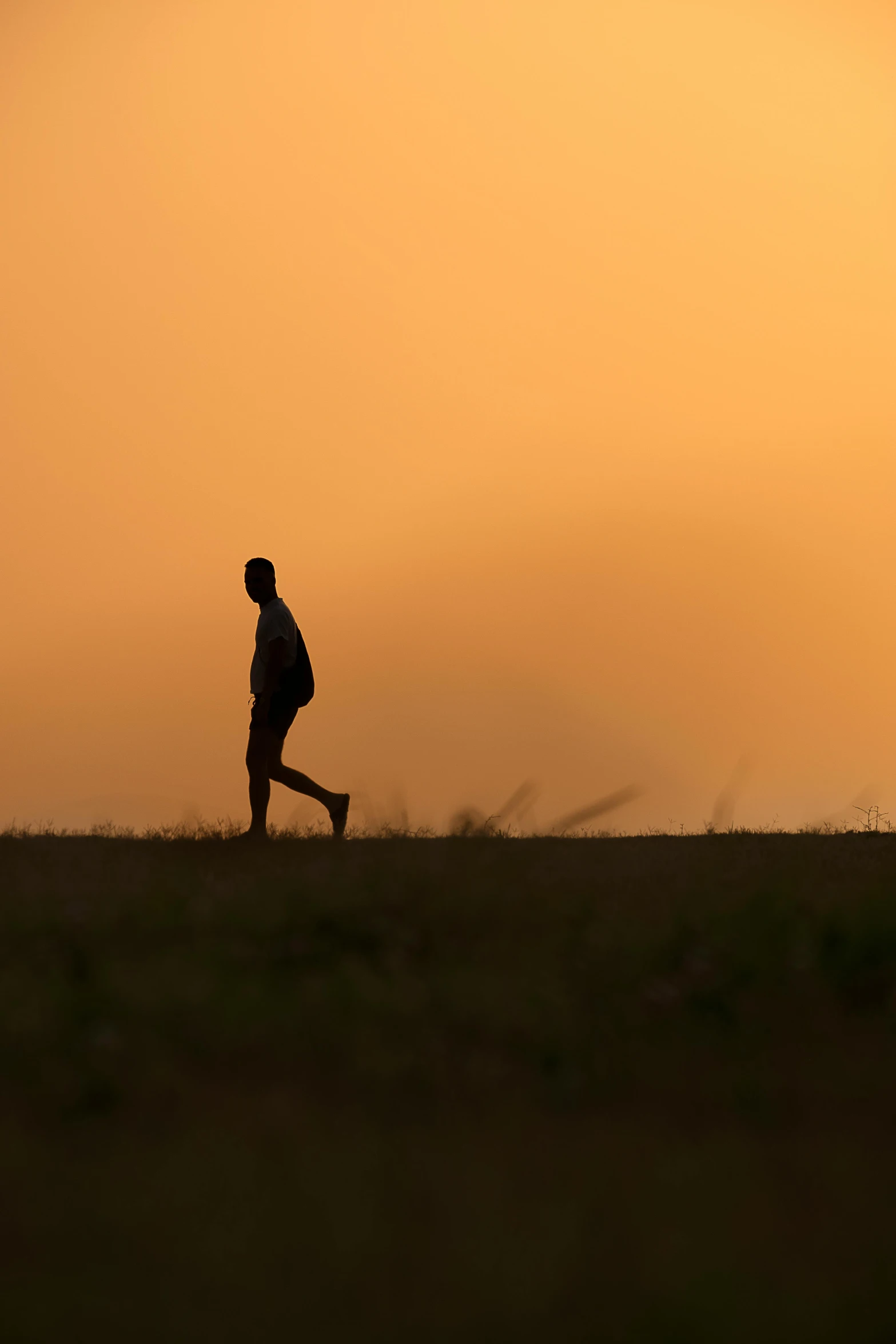 a man running across a field at sunset, by Eglon van der Neer, unmistakably kenyan, contemplation, high quality image, walking