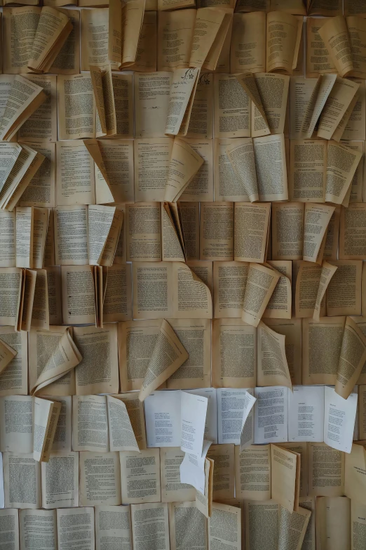 a bunch of books stacked on top of each other, by Jessie Algie, pexels contest winner, conceptual art, wall structure, made of cardboard, flowing book pages, installation