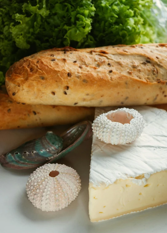 there is some sort of food displayed on a plate