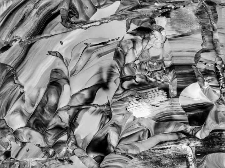 a black and white photo of a bunch of bananas, an abstract drawing, by Patrick Pietropoli, lyrical abstraction, liquid marble fluid painting, digital art - n 9, shards, swirling scene in forest