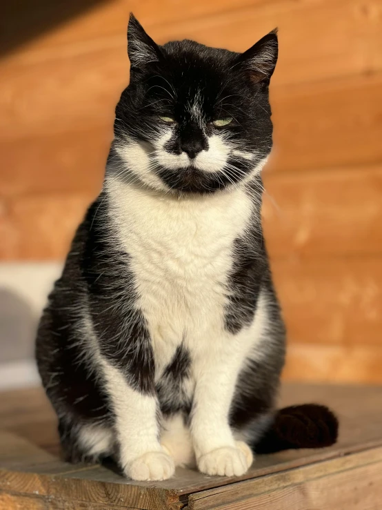 a black and white cat sitting on top of a wooden table, winking at the camera, thick mustache, with a white nose, subreddit / r / whale