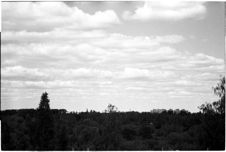 a airplane flying over some trees and grass