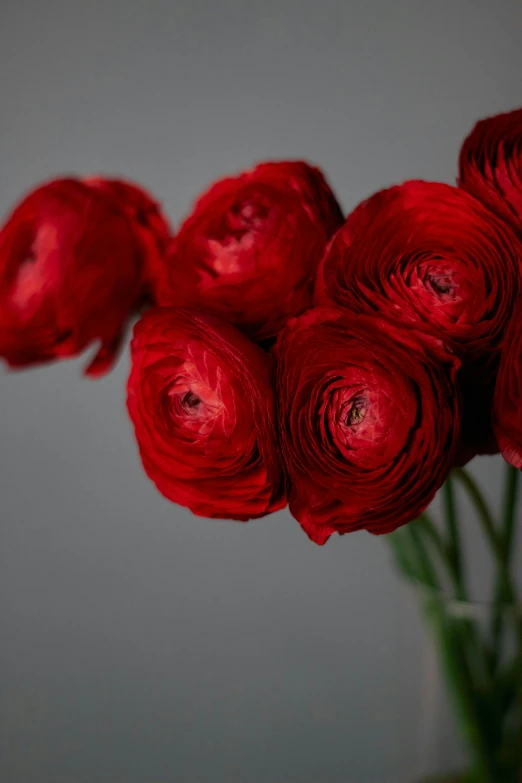 red roses are in a vase that looks like they have been turned into soing