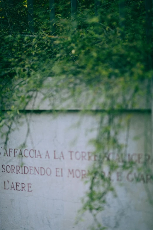 a red fire hydrant sitting in front of a wall, arte povera, subtitles, tomb, blurred detail, green terrace