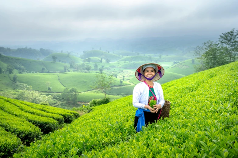 a woman standing on top of a lush green hillside, by Meredith Dillman, pexels contest winner, sumatraism, tea, square, avatar image, print ready