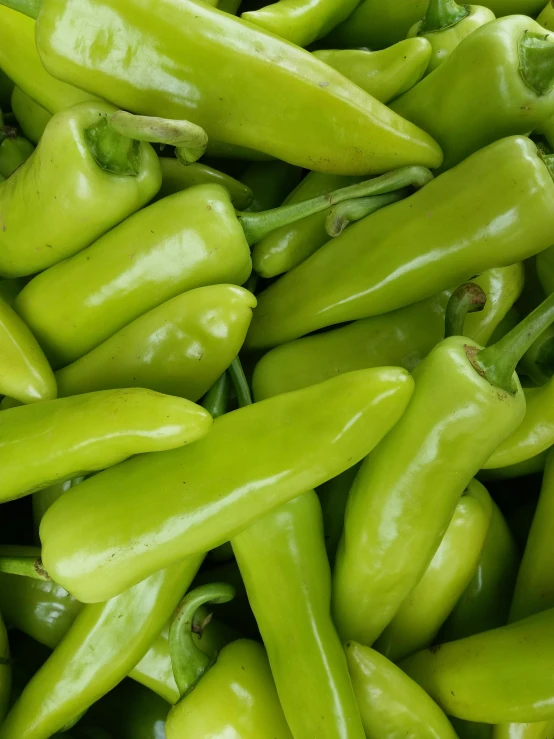 a pile of green peppers sitting on top of each other, light green, thumbnail, vendors, albuquerque