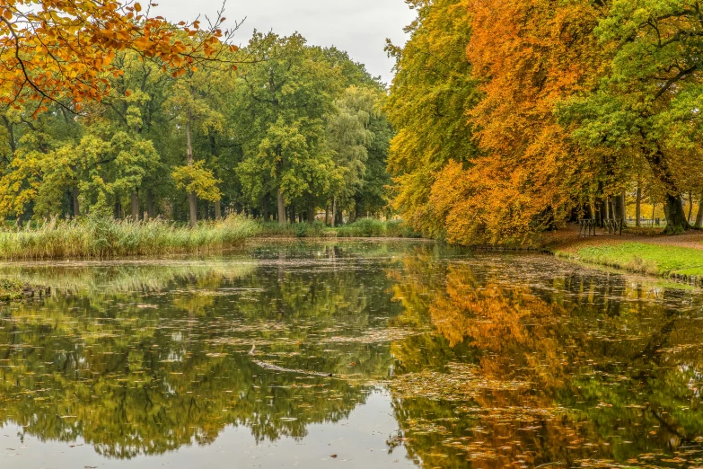 a pond filled with lots of water surrounded by trees, a picture, inspired by Willem de Poorter, pexels contest winner, autumn colour oak trees, thumbnail, hannover, parks and lakes