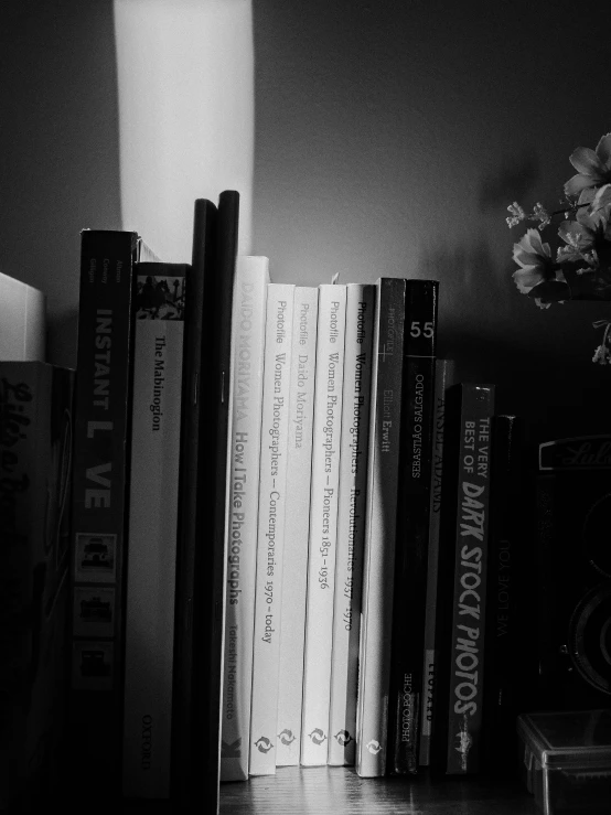 a black and white photo of books and a vase of flowers, inspired by Robert Mapplethorpe, night. by greg rutkowski, lo fi, cinematic. by leng jun, cinematic diane arbus