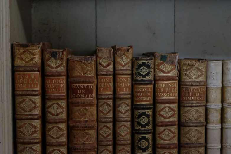 a book shelf filled with lots of old books, an album cover, by Adriaen Hanneman, trending on unsplash, baroque, brown, subtle detailing, mezzotint, mickael lelièvre