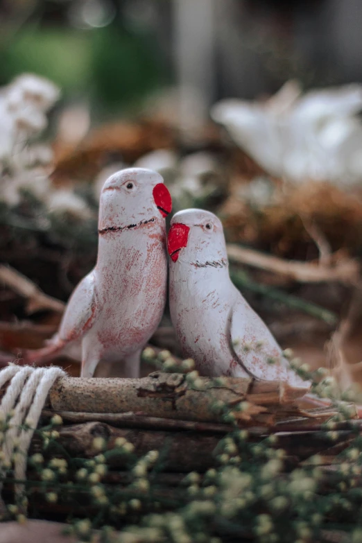 a couple of birds sitting on top of a tree branch, a portrait, pexels contest winner, romanticism, cute funny figurine wooden, thick dust and red tones, white dove, kiss