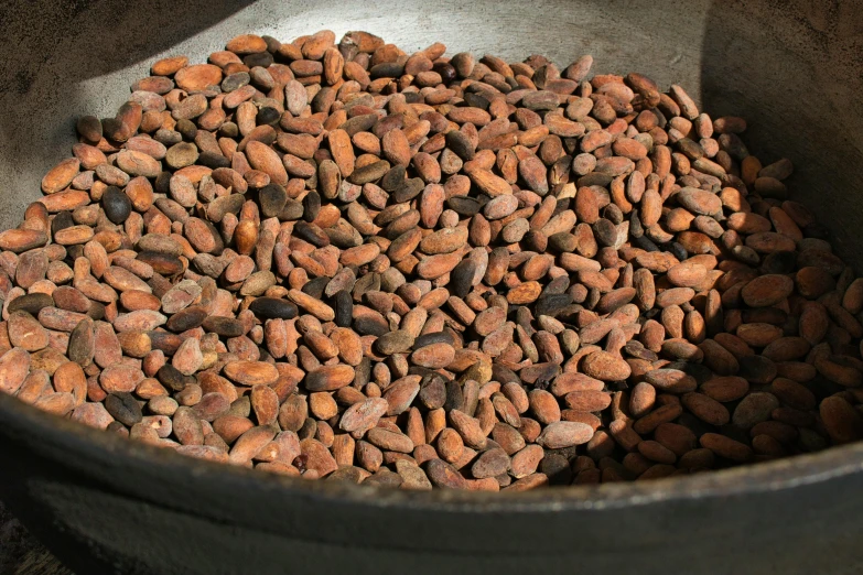 a large metal bowl filled with lots of nuts, hurufiyya, chocolate. rugged, smooth oval head, heavy pigment, uncrop