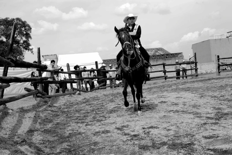 a black and white photo of a person on a horse, a black and white photo, lorena avarez, showdown, low quality photo, scene!!
