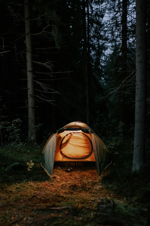 a tent sitting in the middle of a forest, in the evening, victoria siemer, mikko, evenly lit