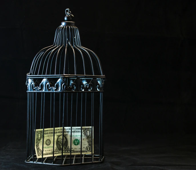 dollars are sitting inside a black birdcage