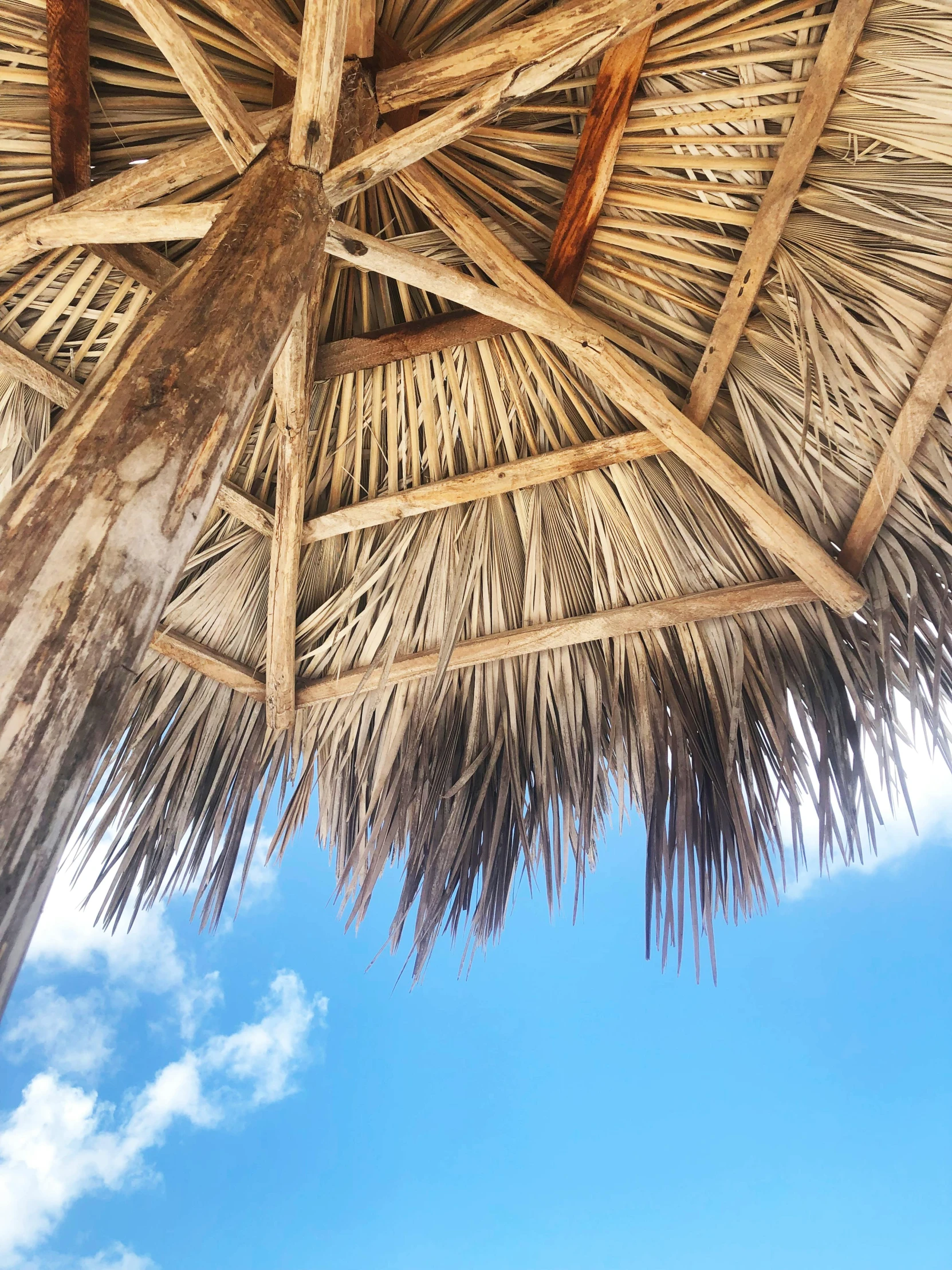 straw thatched umbrellas with blue sky in background