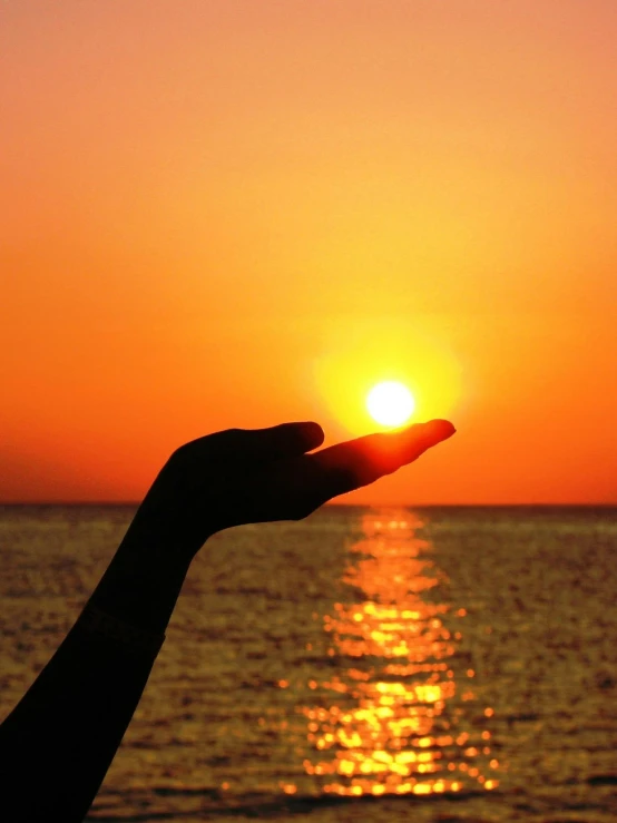 a person holding their hand out in front of the sun, on the ocean, profile image