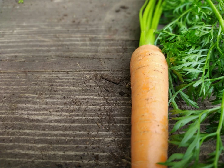 a carrot sitting on top of a wooden table, on ground, greens), zoomed in, digital image