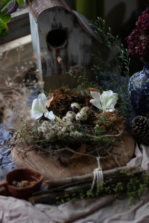 a bird house sitting on top of a wooden table, a still life, moss and flowers, food styling, dark and intricate, in a nest