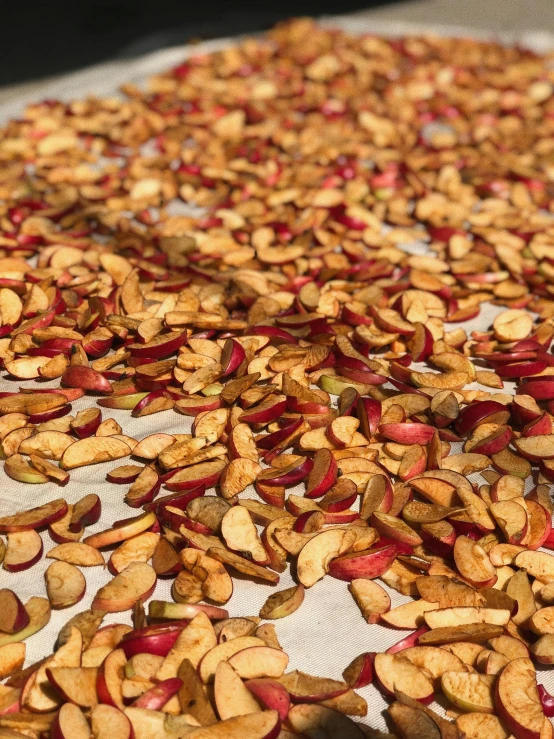 a pan filled with lots of nuts on top of a table, red apple, flattened, organics, scattered golden flakes