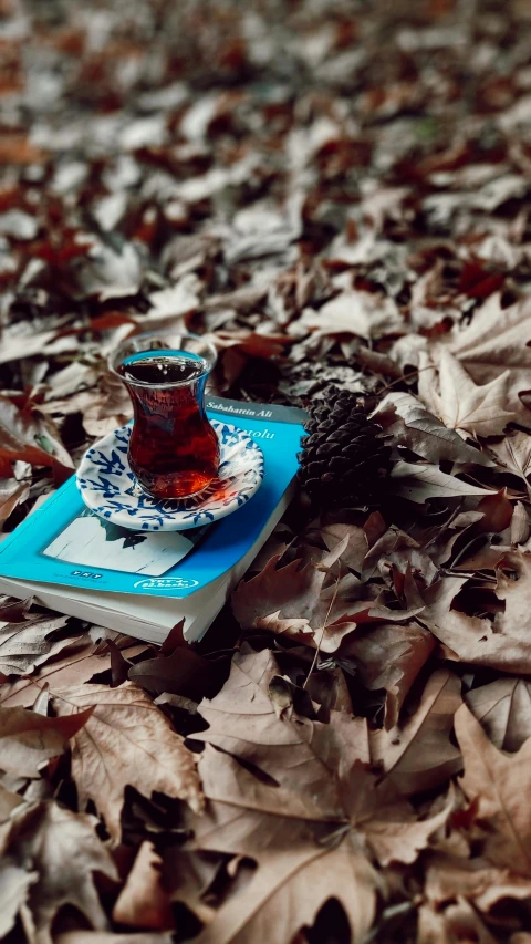 a book sitting on top of a pile of leaves, a still life, by irakli nadar, pexels contest winner, hurufiyya, drinking tea, brown red blue, istanbul, forest picnic