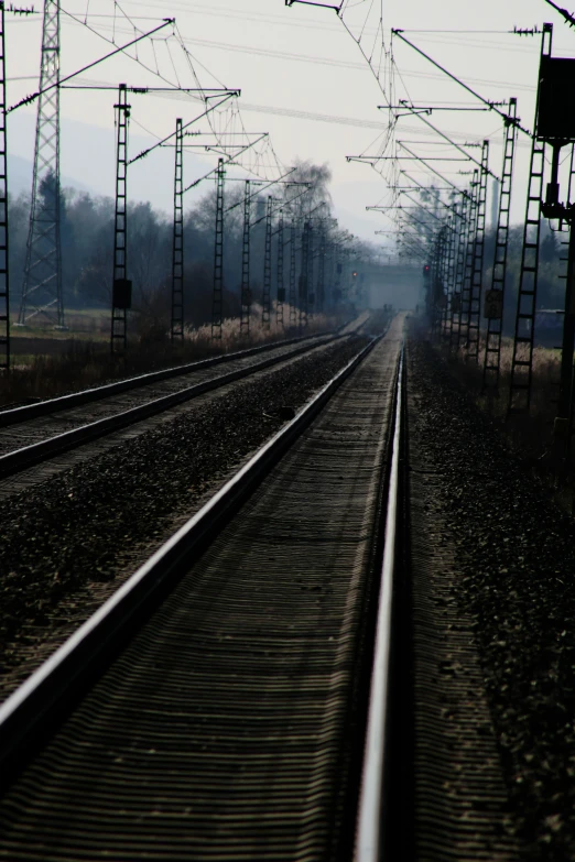 a train traveling down train tracks next to a forest, inspired by Stanislav Zhukovsky, unsplash, postminimalism, square lines, cinematic shot ar 9:16 -n 6 -g, desolate :: long shot, morning atmosphere