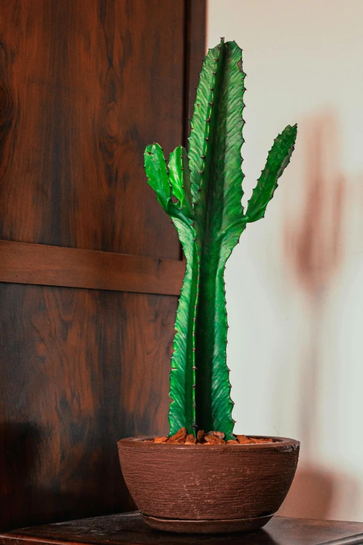 a close up of a potted plant on a table, a statue, inspired by Germán Londoño, with detailed wood, cactus, beautiful aged and rustic finish, big leaves and stems