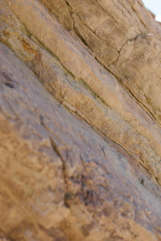 a man riding a skateboard on top of a rock, layers of strata, visible veins, brown, zoomed in