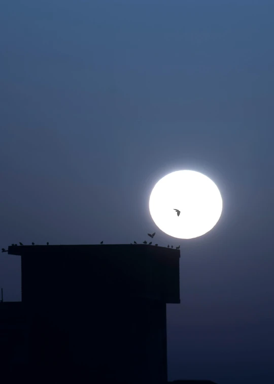 a bird sitting on top of a building under a full moon, by Paul Bird, suns, ap, nepal, ..'