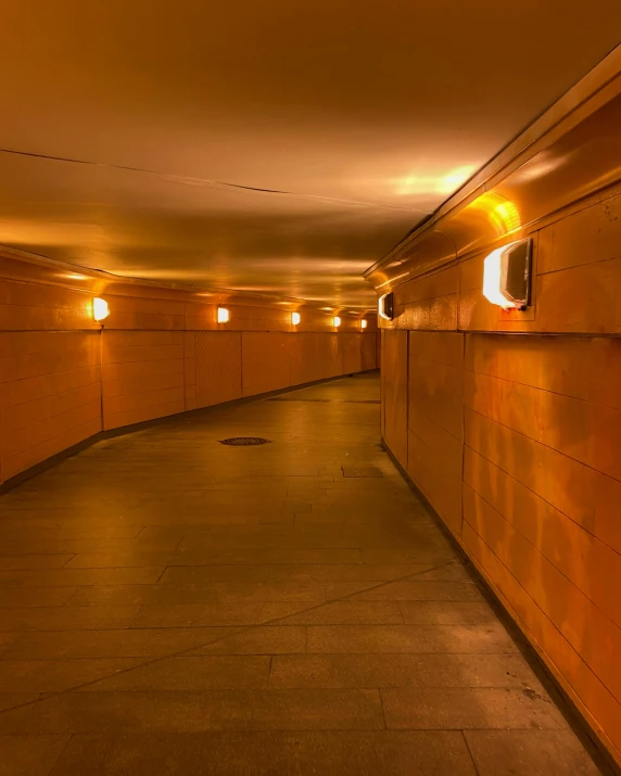 this is an indoor storage room with wooden walls