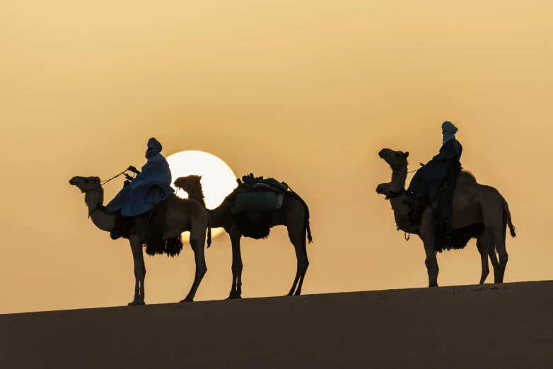 a group of people riding on the backs of camels, inspired by Steve McCurry, pexels contest winner, les nabis, silhoutte, ochre, winter sun, rule of three