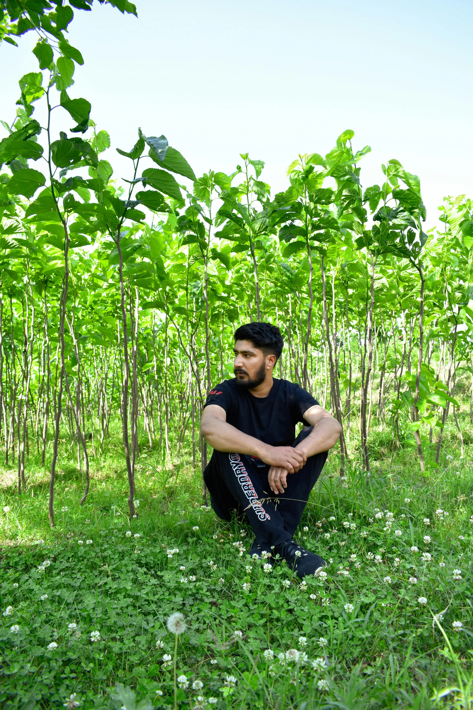 a man sitting on top of a lush green field, an album cover, by Ismail Acar, pexels contest winner, thick and dense vines, ((trees)), reza afshar, outside in a farm