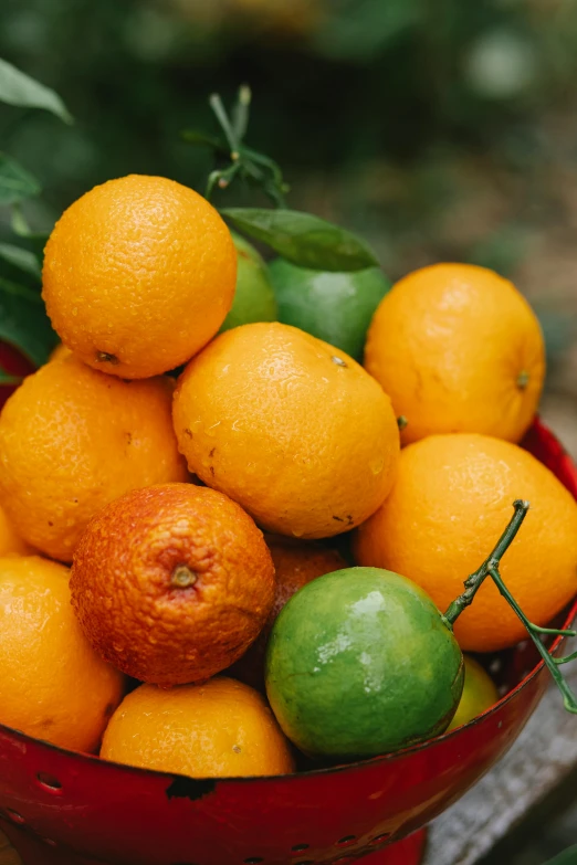 a red bowl filled with oranges and limes, uncrop, piled around, zoomed in, fruit basket