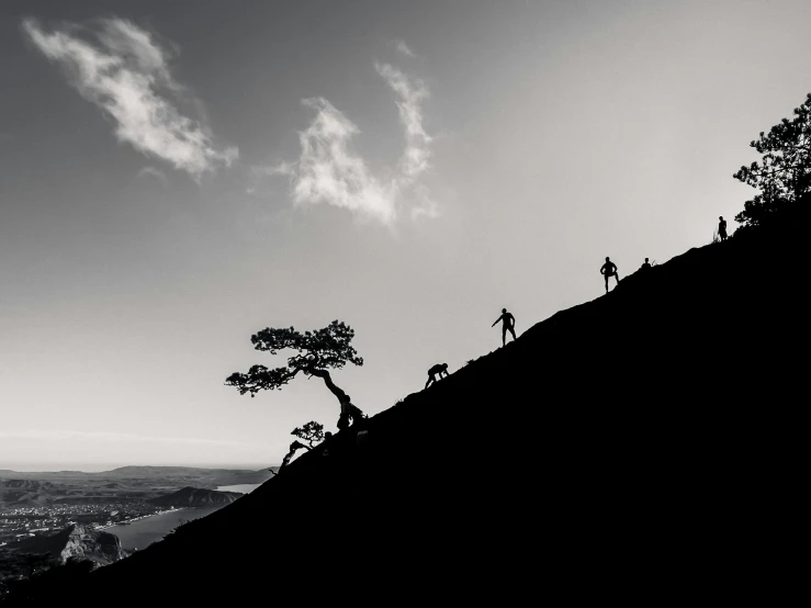 a group of people standing on top of a mountain, a black and white photo, by John Murdoch, unsplash contest winner, process art, climbing a tree, be running up that hill, unique silhouettes, hasselblad photography