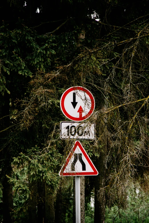 road signs in front of trees in a park