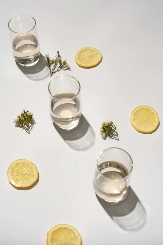 a white table topped with glasses of water and lemon slices, botanicals, on a gray background, multiple stories, ignant