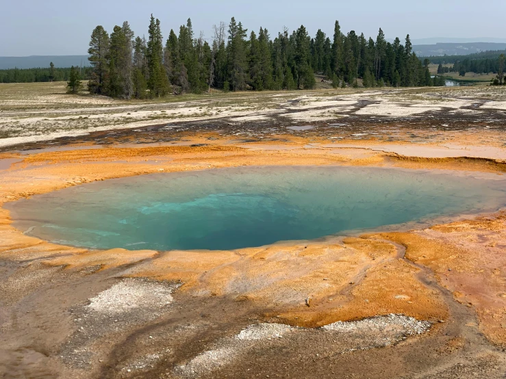 a large pool in a dirt field surrounded by forest