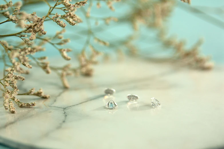 a pair of earrings sitting on top of a table, a macro photograph, inspired by Tracey Emin, unsplash, diamond trees, aquamarine, minimalist, high angle shot