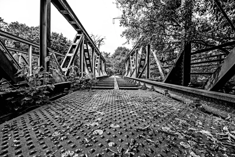a black and white photo of a bridge, a black and white photo, by Karl Pümpin, realism, an abandoned rusted train, highly detail wide angle photo, amongst foliage, cross hatched