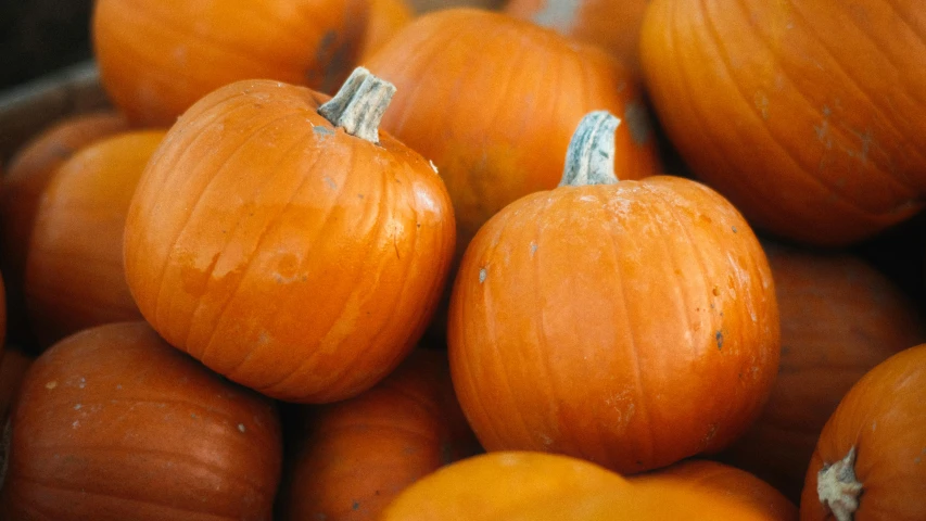 a pile of pumpkins sitting on top of each other, a portrait, pexels, square, thumbnail, digital image, close-up photo