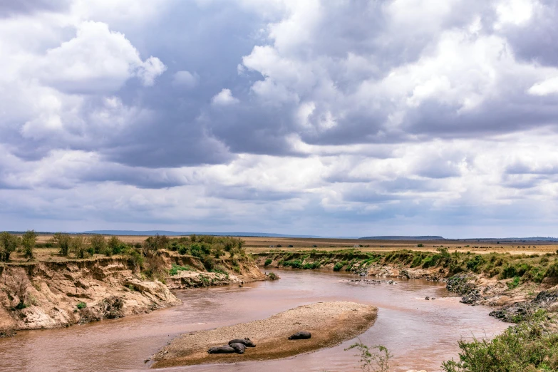 a river running through a dry grass covered field, by Peter Churcher, pexels contest winner, hurufiyya, very kenyan, river rapids, panoramic, photo of crocodile