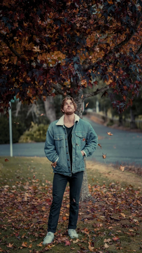 a man is posing beneath a tree full of leaves