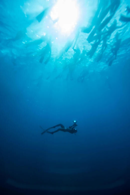 a scuba diver and sunlight beams behind