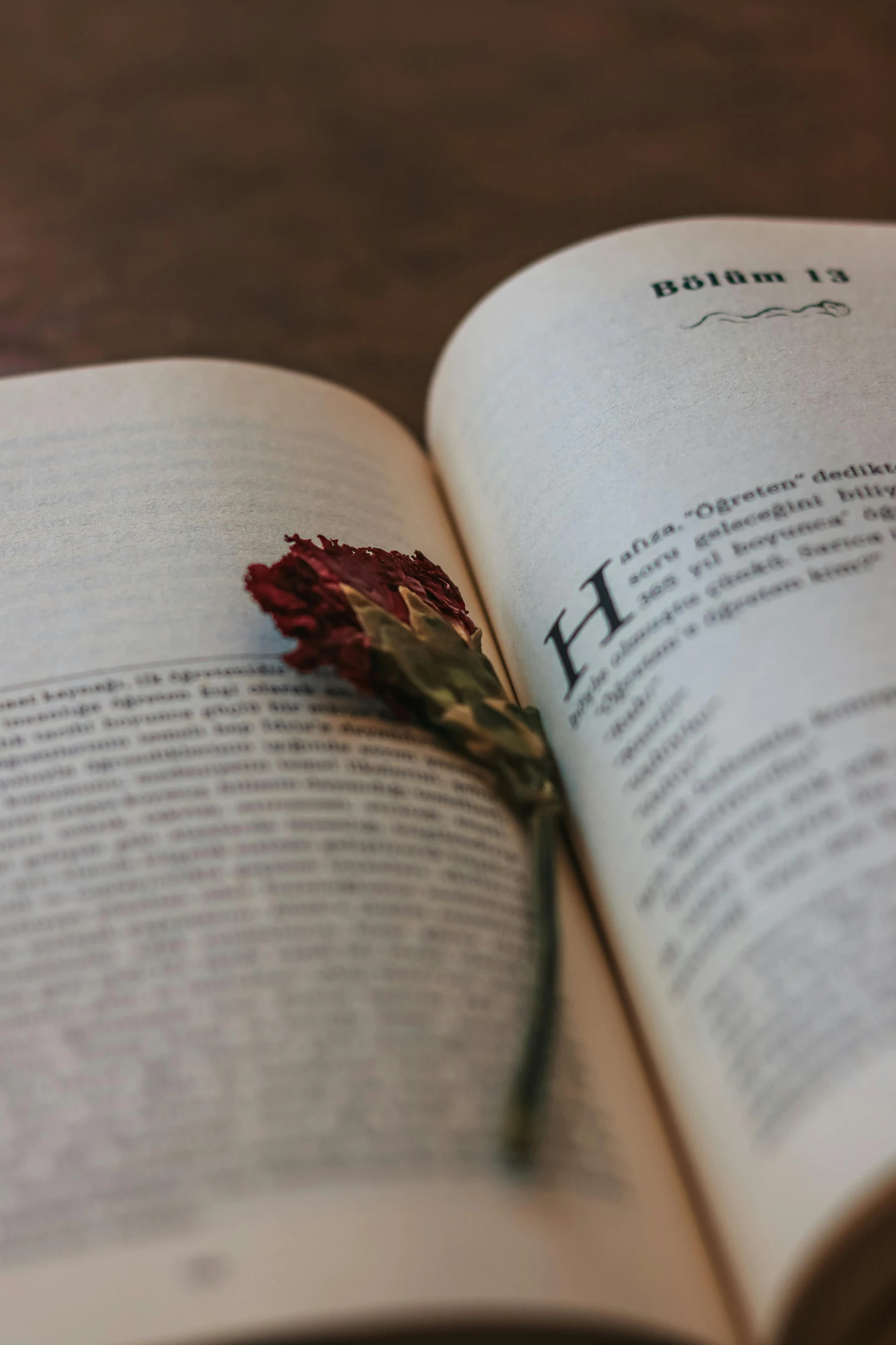 an open book sitting on top of a wooden table, a picture, by Carey Morris, unsplash, romanticism, flower, ((portrait)), may)