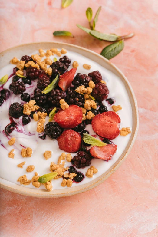 a bowl of yogurt with berries and granola, a portrait, by Lucette Barker, trending on pexels, renaissance, made of glazed, chile, lush oasis, detailed product image