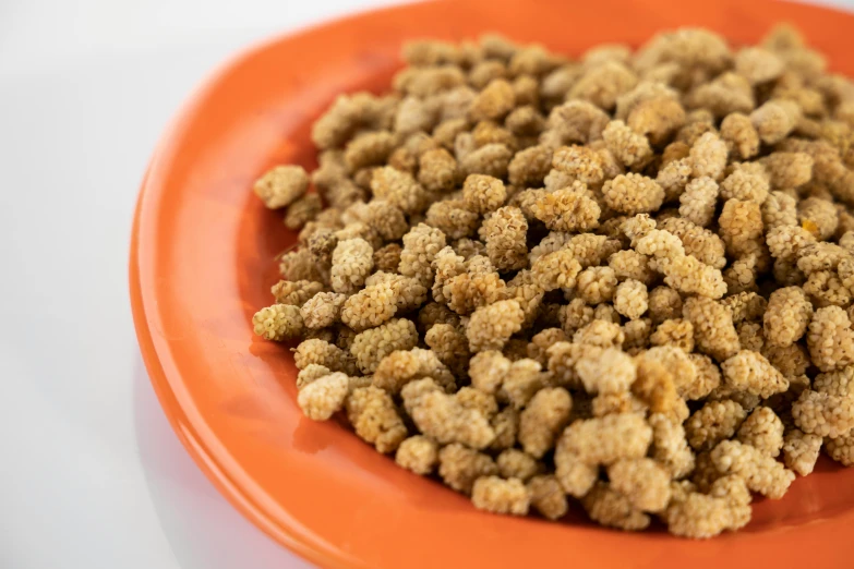 an orange plate with soing shaped like cornflakes