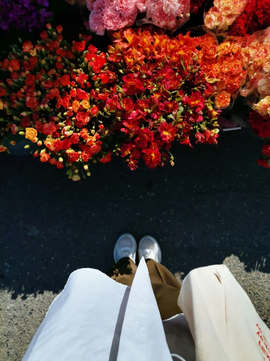 someones shoes are in front of large flowers