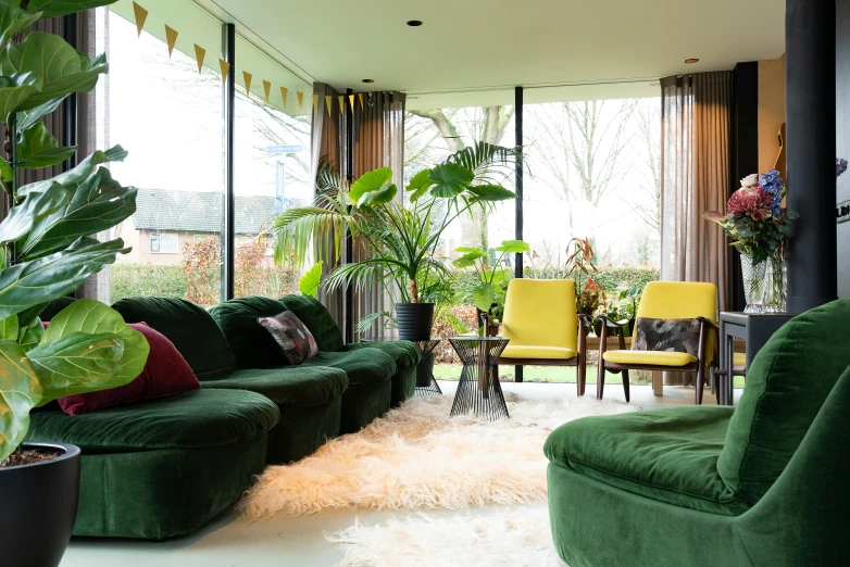 a room with several green couches and some plants